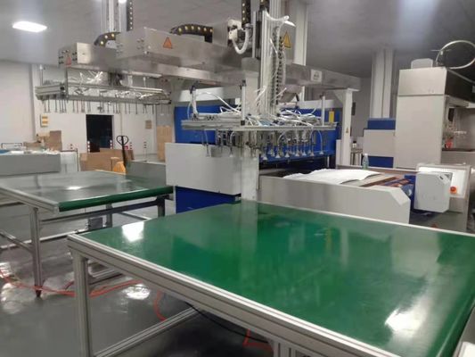 Macchina di taglio a strisce idraulica a bolle in PVC/PET/PE/PS a 250 tempi con un artiglio meccanico