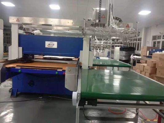 Macchina di taglio a strisce idraulica a bolle in PVC/PET/PE/PS a 250 tempi con un artiglio meccanico