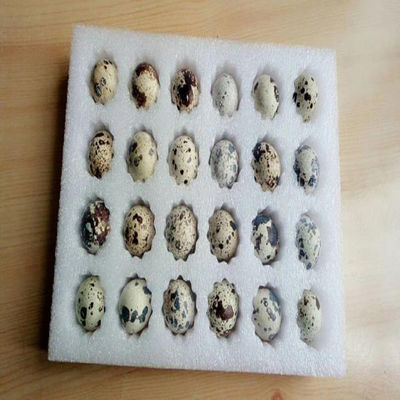 100 t macchina di stampaggio idraulica per materassi a spugna