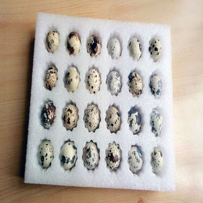 Macchina per perforare materiali di imballaggio di carta durevole con sistema idraulico
