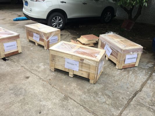 WZ-600L Applicatore di bastoncini di colla a fusione a caldo a singolo rullo con consumo di energia 220V